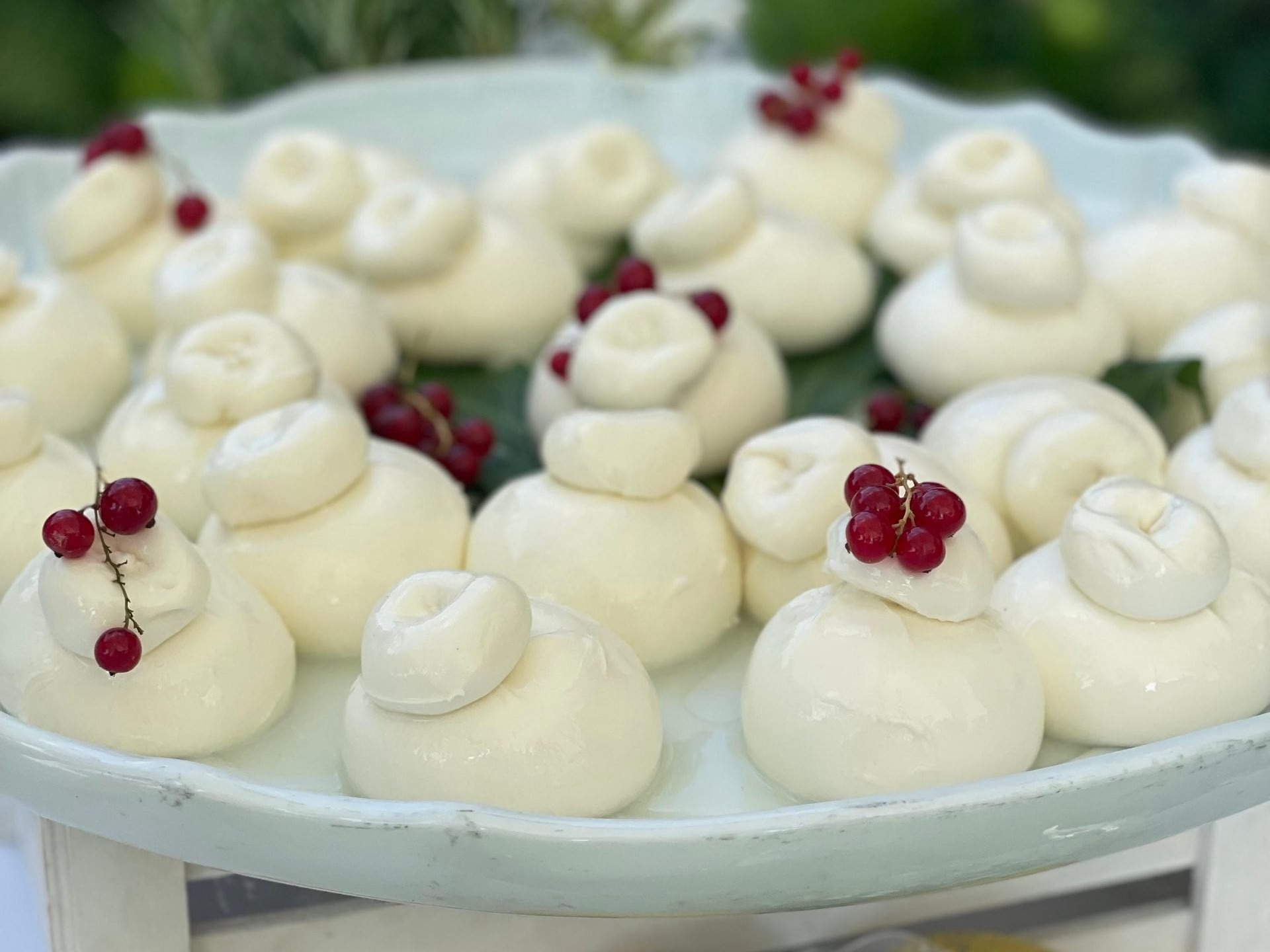 Catering Castello dei Solaro Castello Banchetto Matrimonio Grugliasco